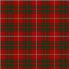Bruce tartan swatch