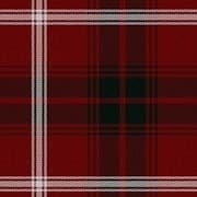 Duke of Rothesay (Ancient_Modern) tartan swatch