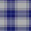 Clan Edwards Welsh Tartan