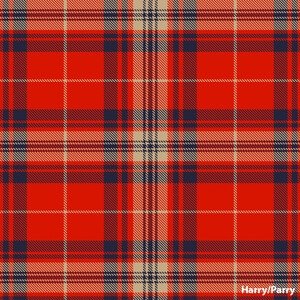 Harry tartan swatch