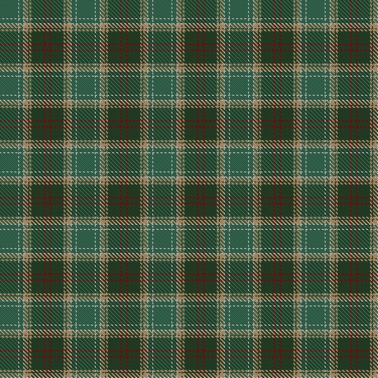Michigan tartan swatch