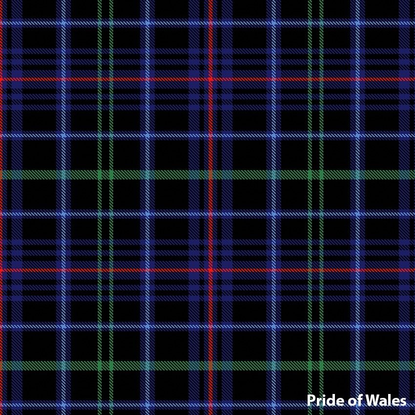 National Pride of Wales tartan swatch
