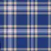 Baker Tartan