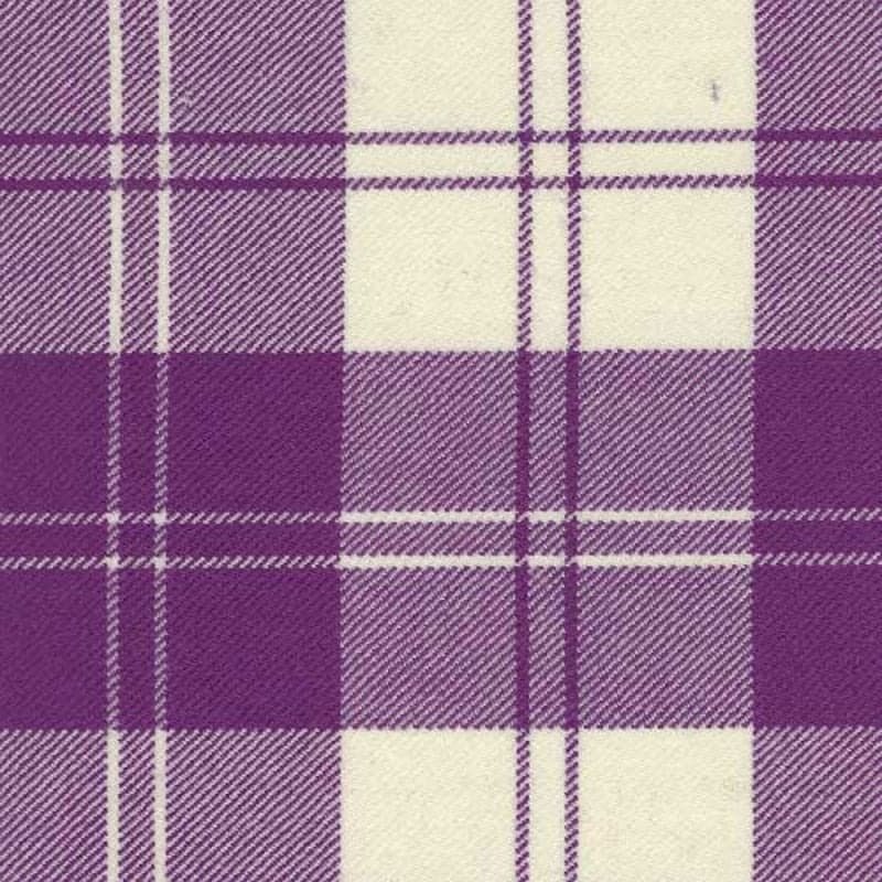 Eriskin Dress Purple White tartan swatch