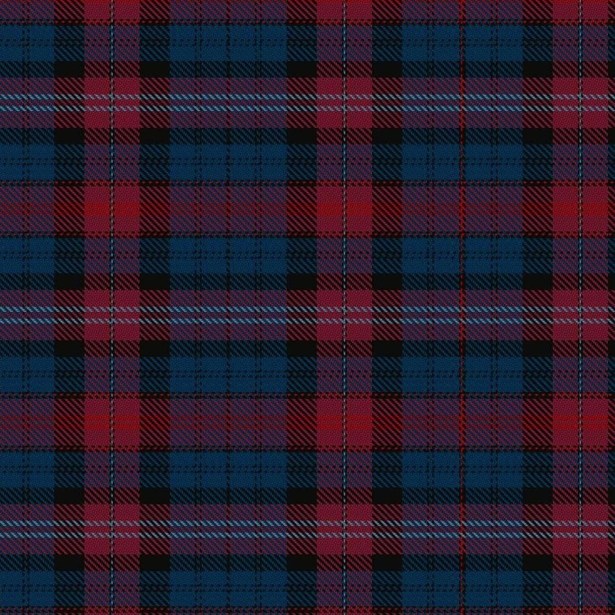 Evans tartan swatch