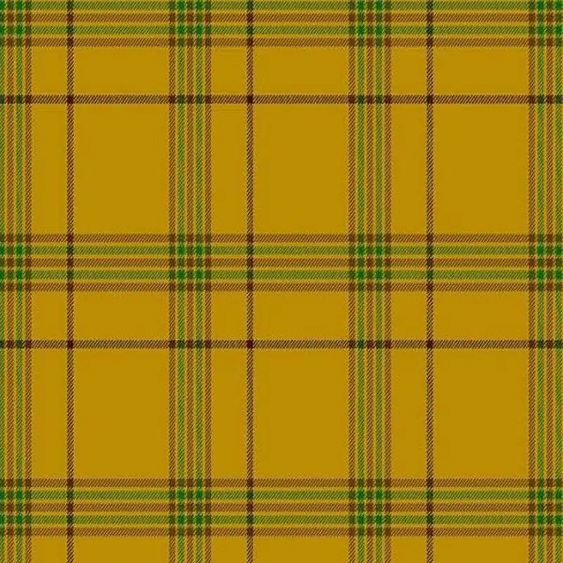 Clan Houston Modern Tartan Kilt - Image 2