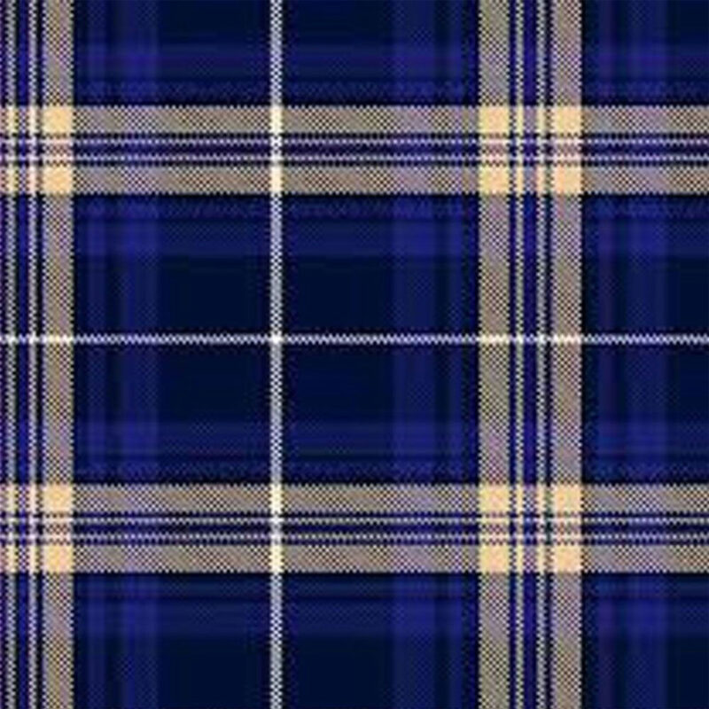 Rees (Preece) Tartan