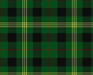 Paton tartan swatch
