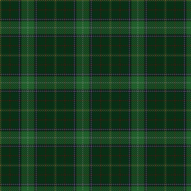 Walsh tartan swatch