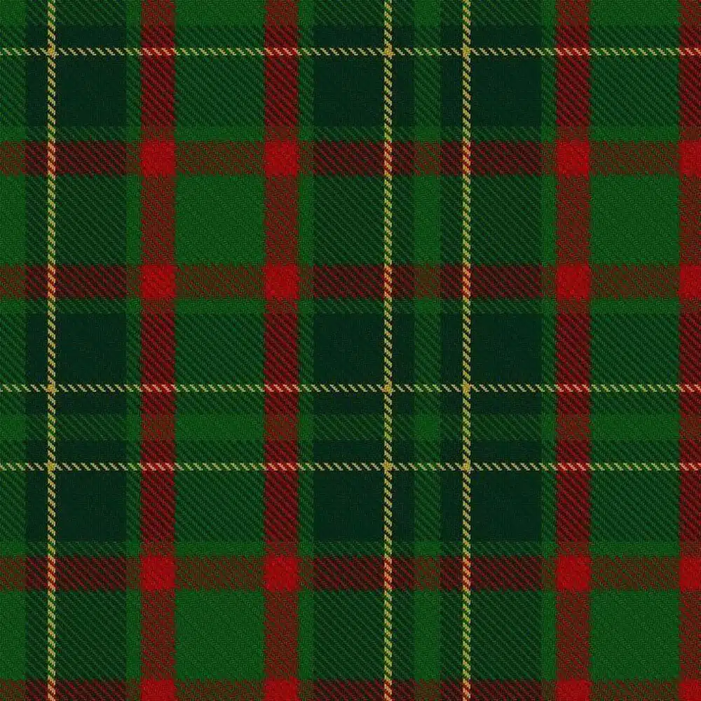 Clan Doyle Tartan kilt