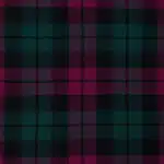 Sir Walter Scott Modern