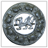 Silver Dragon