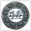 Silver Dragon