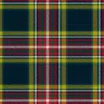 Anthony Blue Plaid