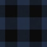 Border Shepherd's Check Black and Blue