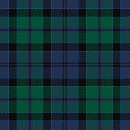 Hebridean Old District Tartan Kilt