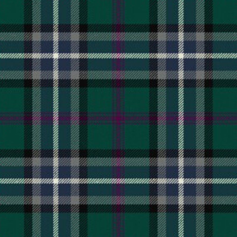 Alexander of Menstry Hunting Tartan kilt
